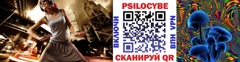 Псилоцибиновые грибы Cubensis  Нестеровская 